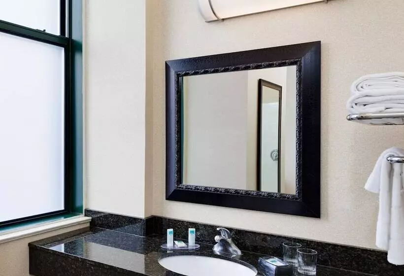 酒店 Springhill Suites By Marriott Baltimore Downtown/inner Harbor