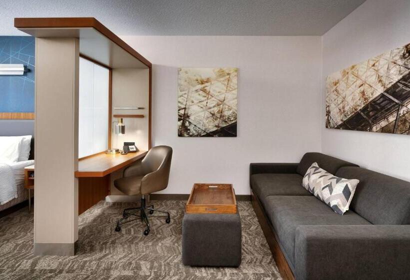 فندق Springhill Suites By Marriott Provo