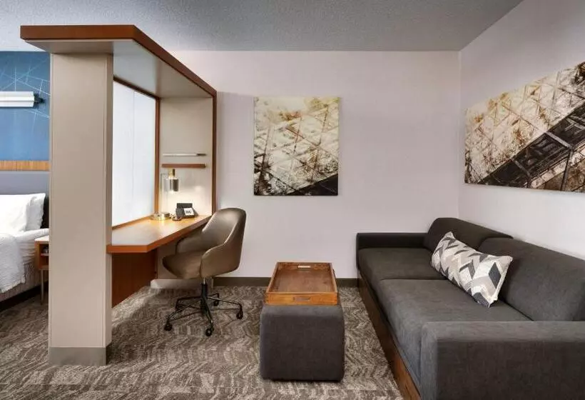 Отель Springhill Suites By Marriott Provo