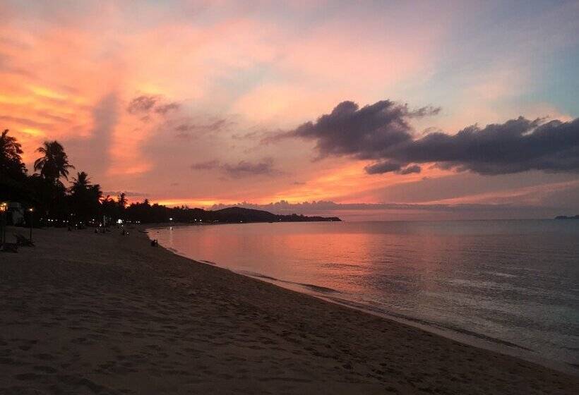 בית מלון כפרי The Cosy Maenam Beach Resort