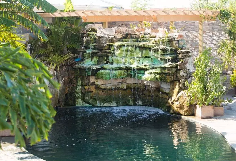 Kokomo Botanical Resort   Caribbean Family Cottages