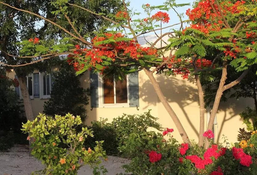 Kokomo Botanical Resort   Caribbean Family Cottages