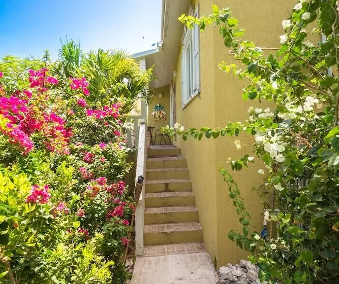 Kokomo Botanical Resort   Caribbean Family Cottages