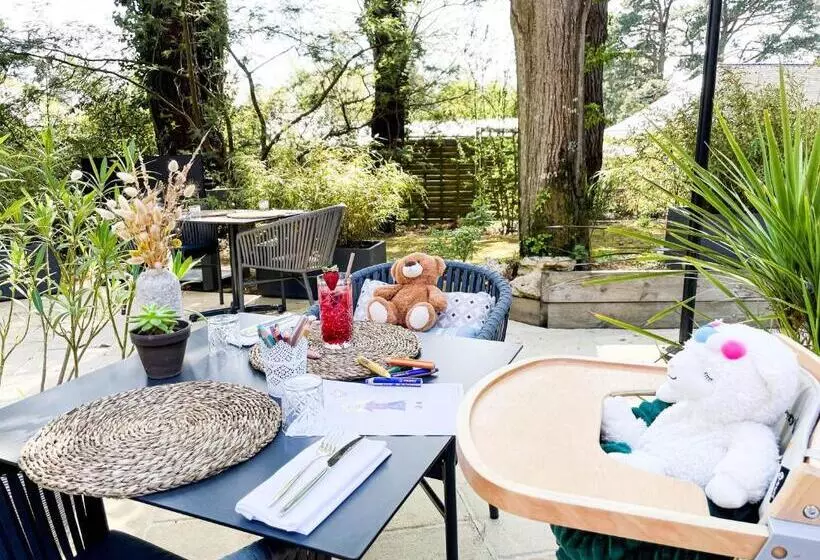 渡假胜地 Quintessia