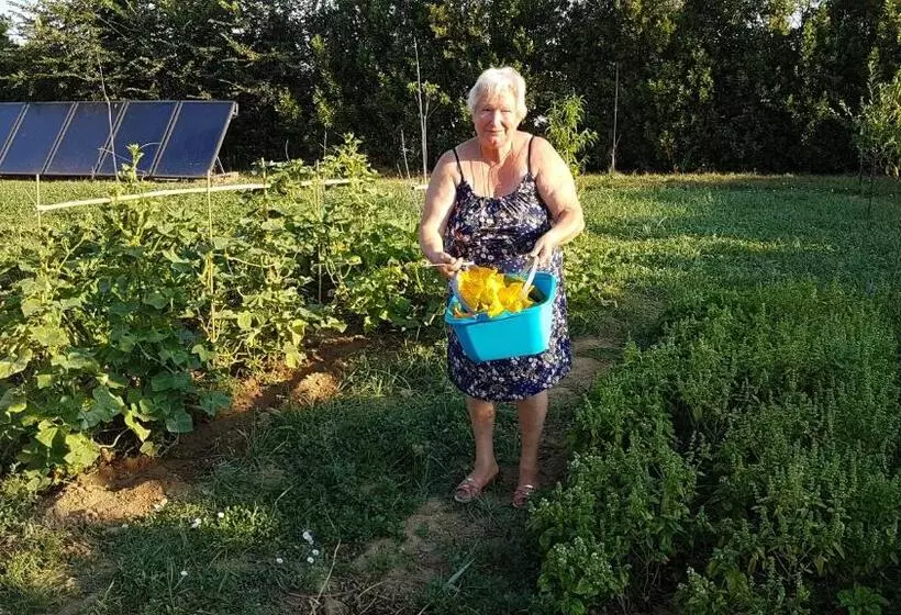 צימר Casal Sant Elena