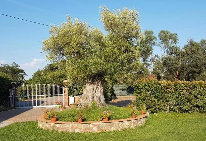 צימר Casal Sant Elena