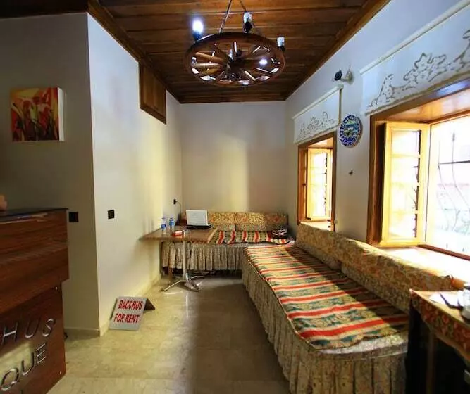 هتل Bacchus Pension