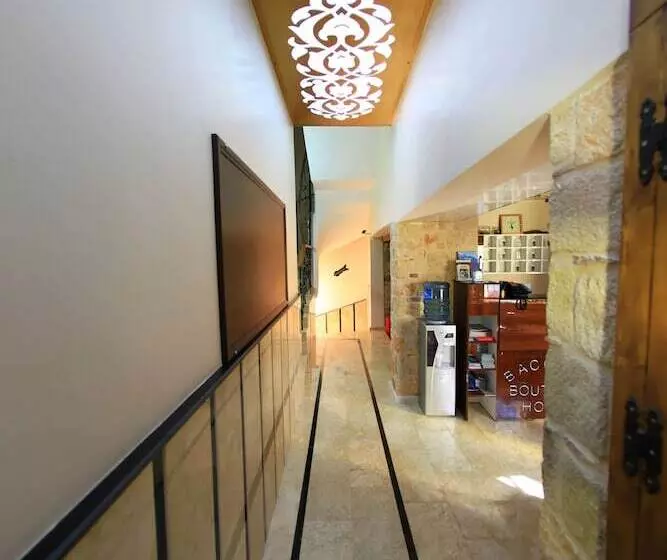 هتل Bacchus Pension