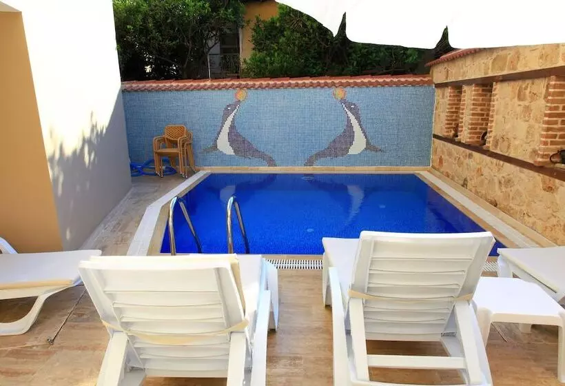 هتل Bacchus Pension