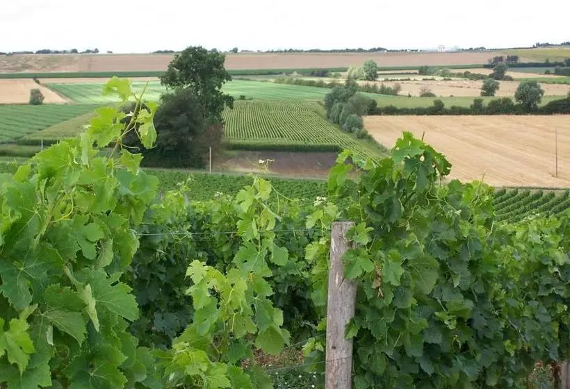 酒店 Château De La Sebrandière