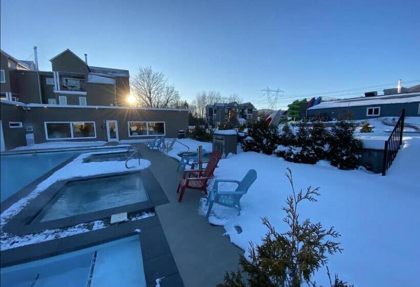 Otel Condos Vacances Msa Avec Piscine Et Spas Exterieurs Gratuits 4 Saisons!!