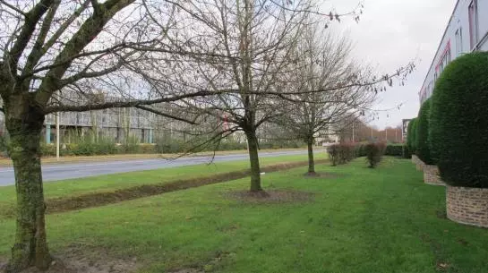 Отель Europarc Marne la Vallée