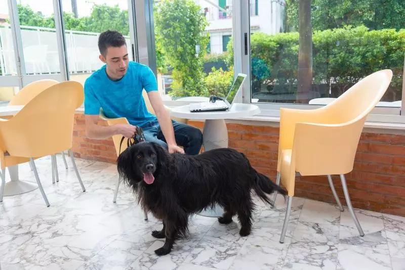 בית מלון כפרי L Alba