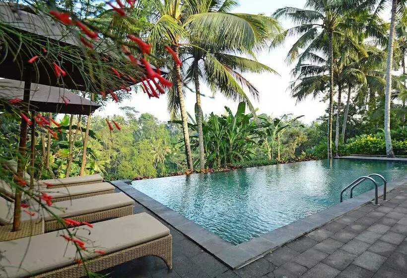 酒店 Pertiwi Bisma 1