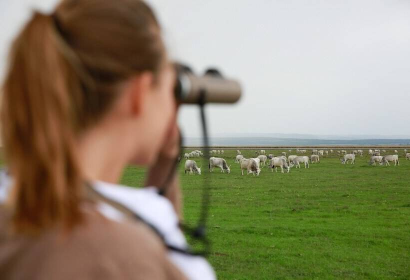 Отель St. Martins Therme & Lodge