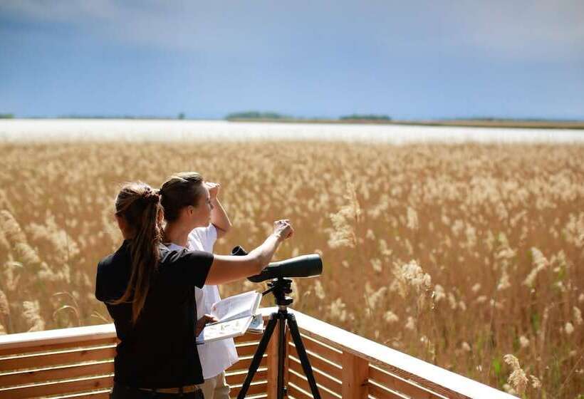 Отель St. Martins Therme & Lodge