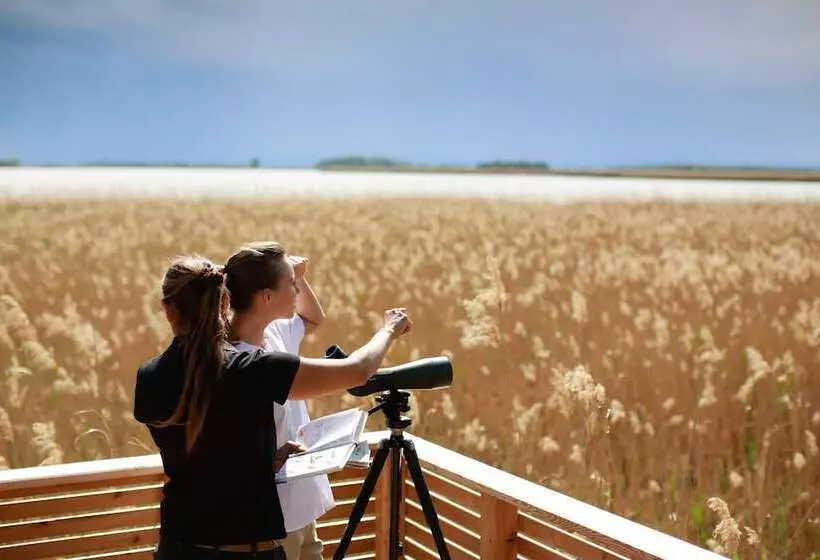 Отель St. Martins Therme & Lodge