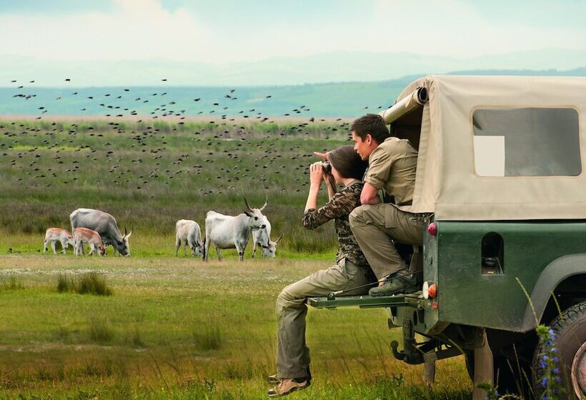 Отель St. Martins Therme & Lodge