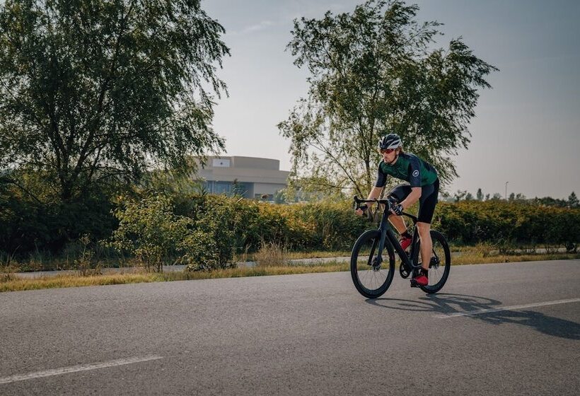 Отель St. Martins Therme & Lodge