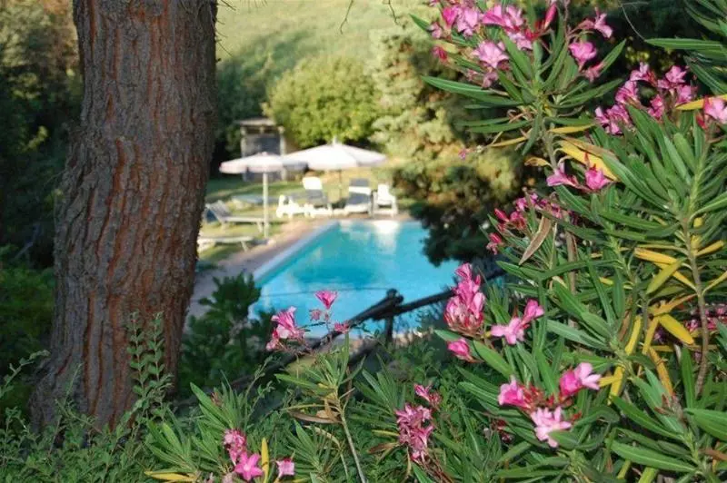 Monticello Di Sant'alpestro