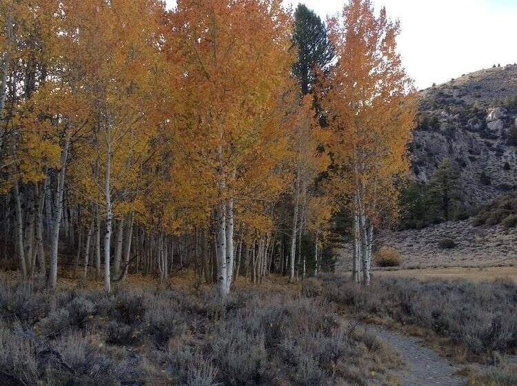 호텔 June Lake Villager