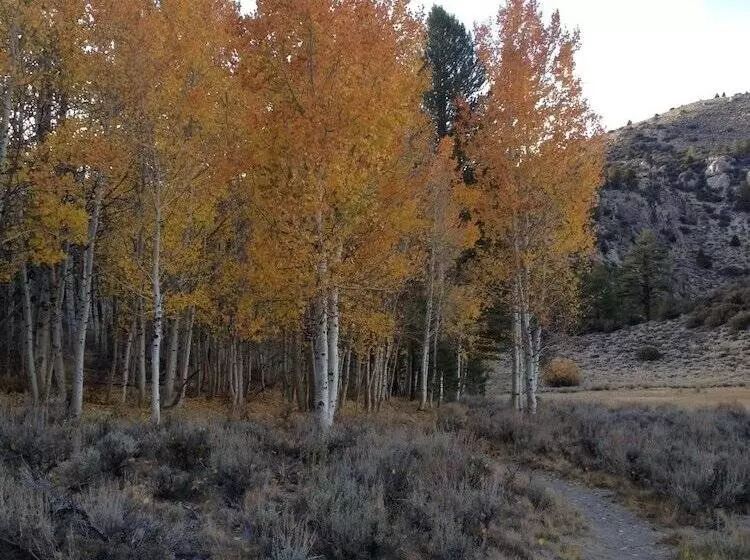 Hotelli June Lake Villager