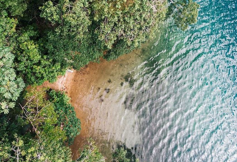 هتل La Lancha By Francis Ford Coppola