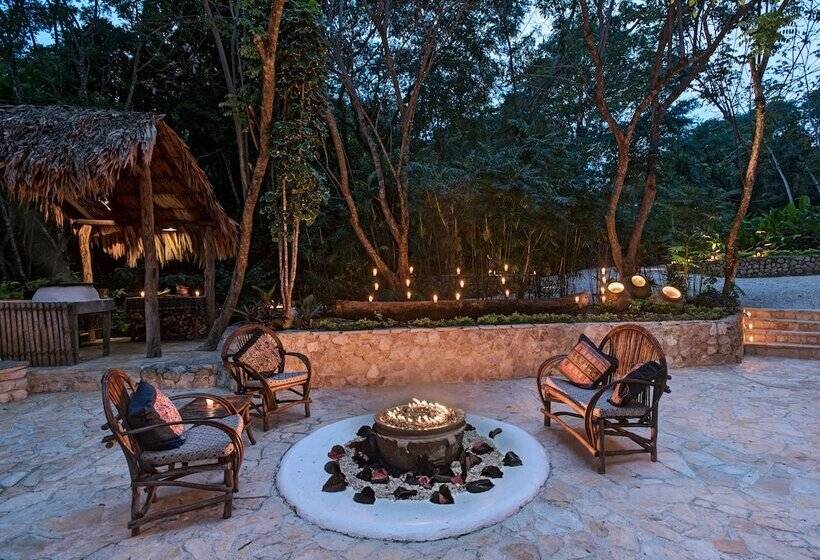 هتل La Lancha By Francis Ford Coppola