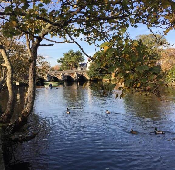 مبيت وإفطار No Car Needed