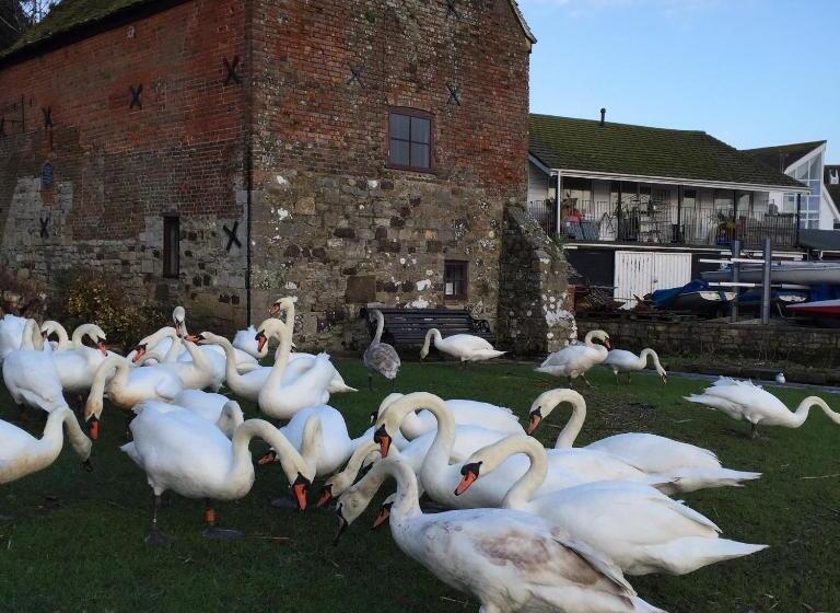 مبيت وإفطار No Car Needed