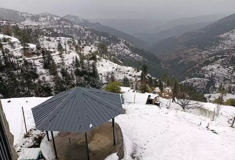 Aamiaismajoitus (B&B) Thapa Farms, Koti Simla