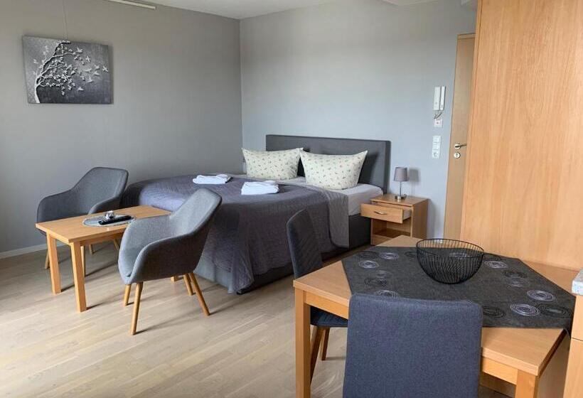 Einraumapartment Mit Seeblickbalkon