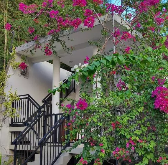 ペンション Flower Shade Villa