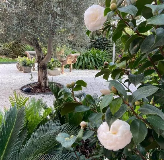 Majatalo Un Palmier à Sa Fenêtre
