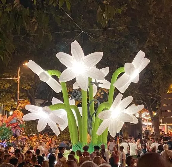 Majatalo Un Palmier à Sa Fenêtre