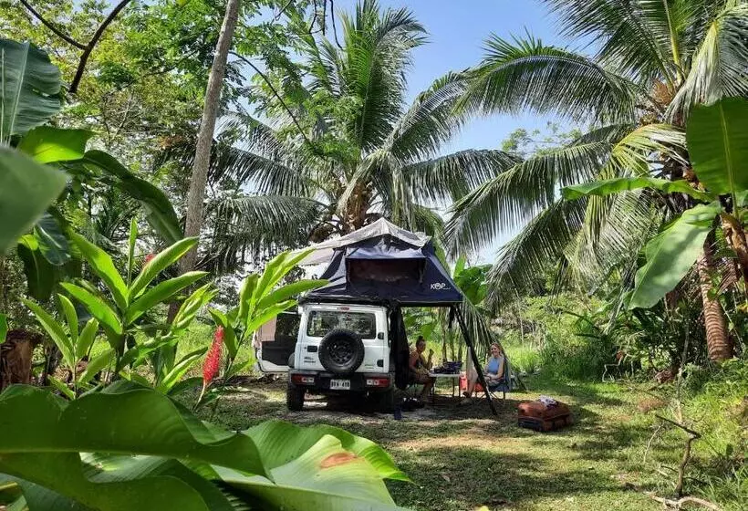 ユースホステル La Muñequita Lodge 2   Culture & Nature Experience