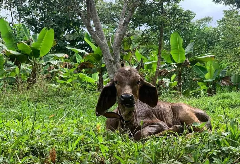 ユースホステル La Muñequita Lodge 2   Culture & Nature Experience