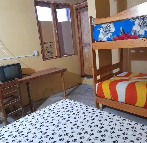 ユースホステル Los Burritos