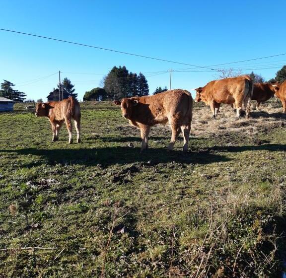 Bed and Breakfast La Grande Maison