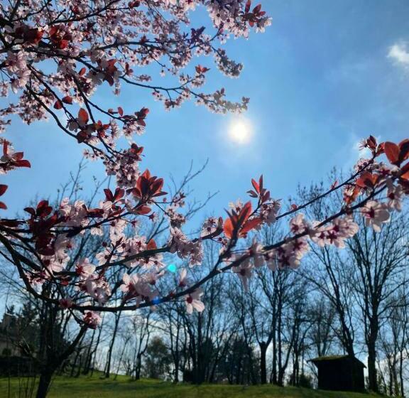 Bed and Breakfast Le Petit Bleu Chambre D Hôtes