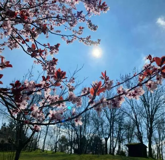 Aamiaismajoitus (B&B) Le Petit Bleu Chambre D Hôtes