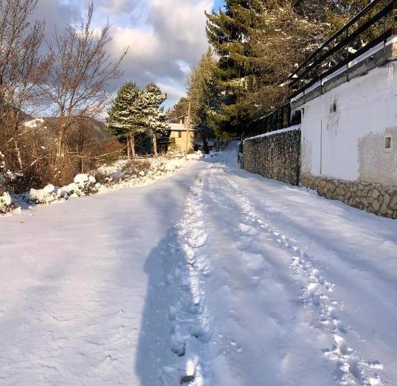 פנסיון Affittacamere 7nani