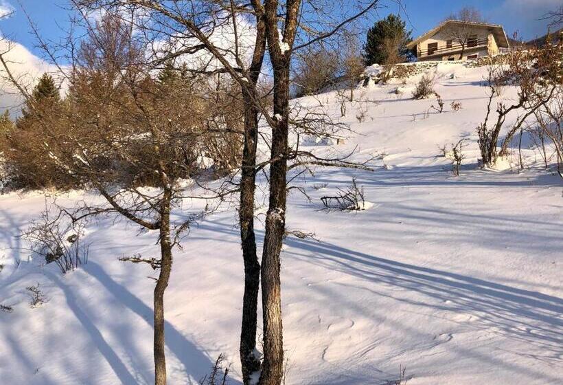 Пансион Affittacamere 7nani