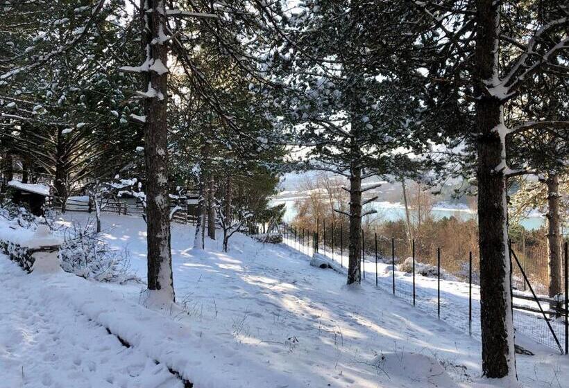 פנסיון Affittacamere 7nani