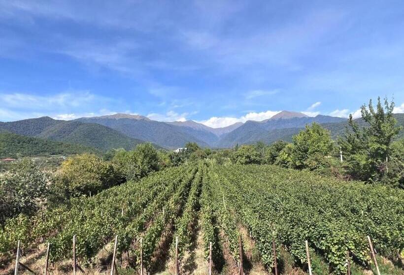 پانسیون Begaso Family Winery