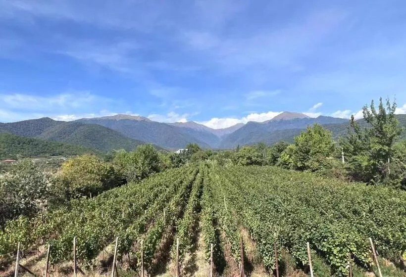 ペンション Begaso Family Winery