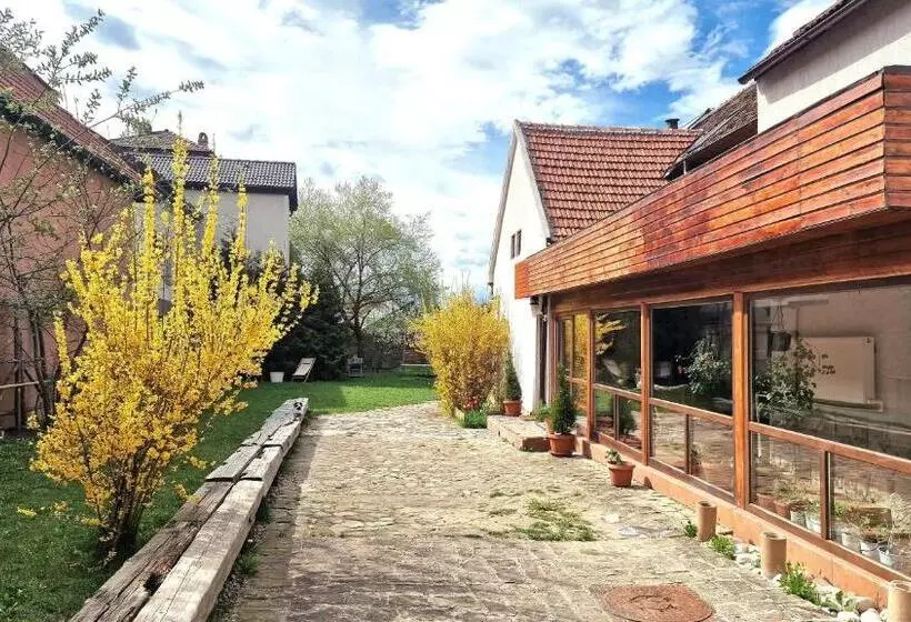 Majatalo Studiorasnov