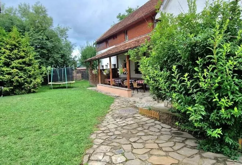 Majatalo Studiorasnov