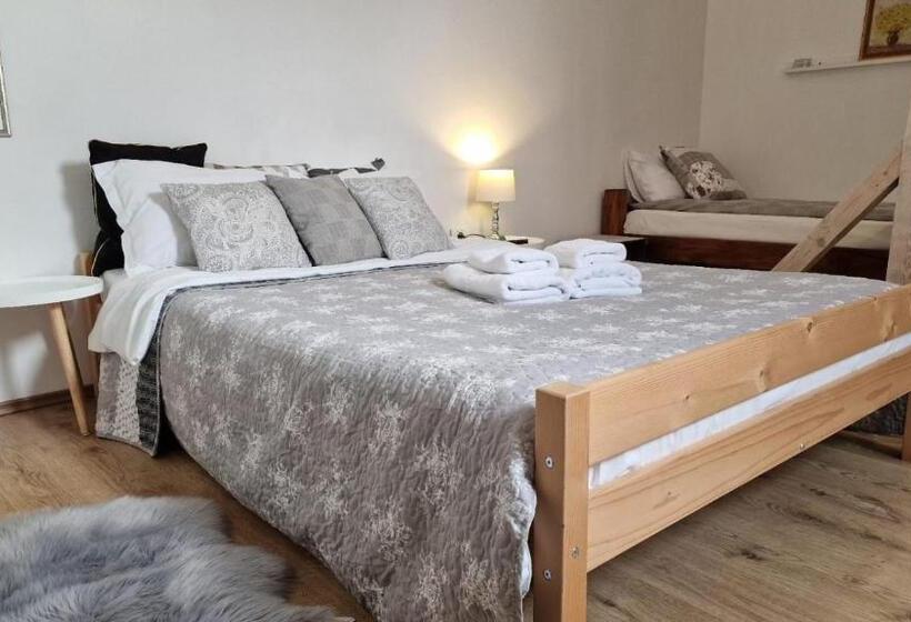 פנסיון Studiorasnov