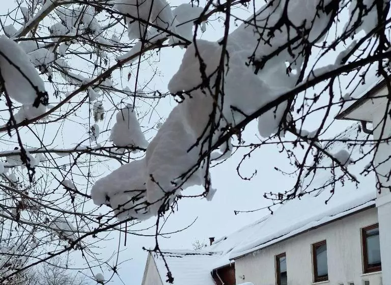 Majatalo Studiorasnov